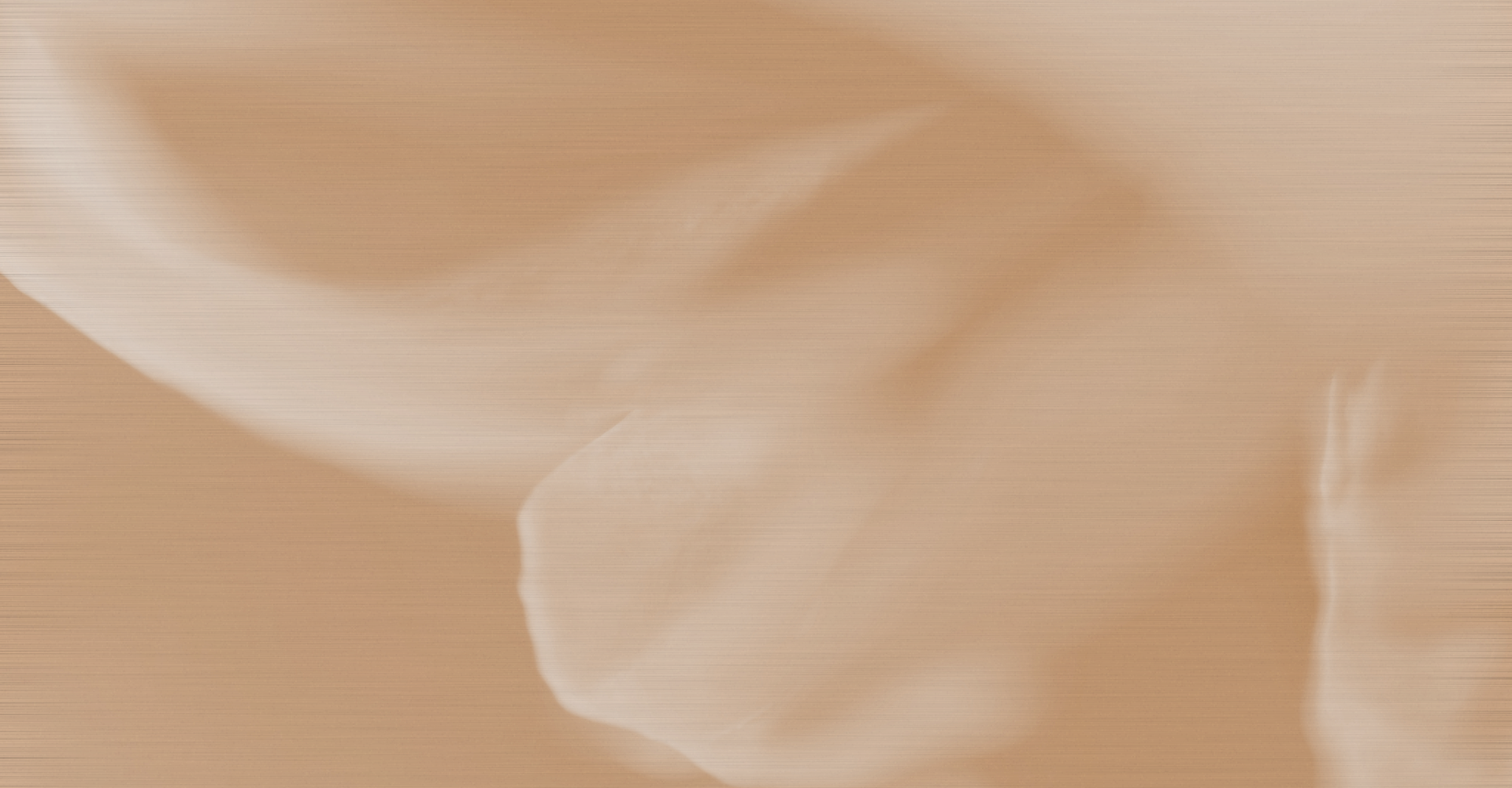 피부관리/재생관리