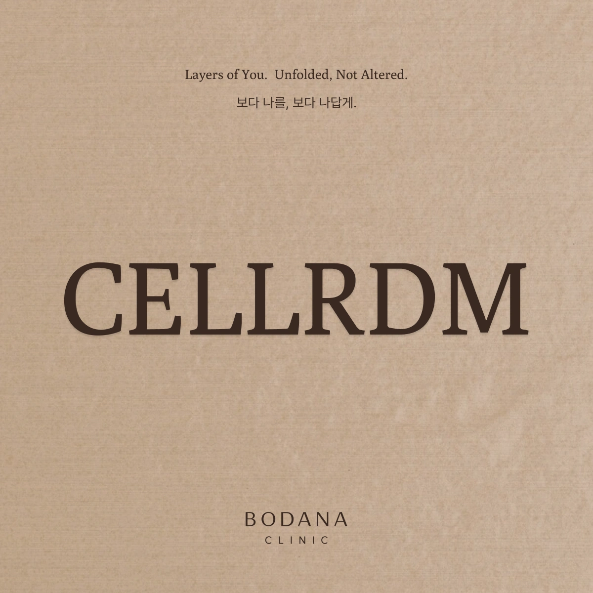 셀르디엠 런칭 프로모션 특가